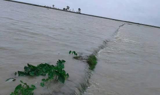 সন্দ্বীপে বেড়িবাধ ভেঙ্গে লোকালয়ে জোয়ারের পানি